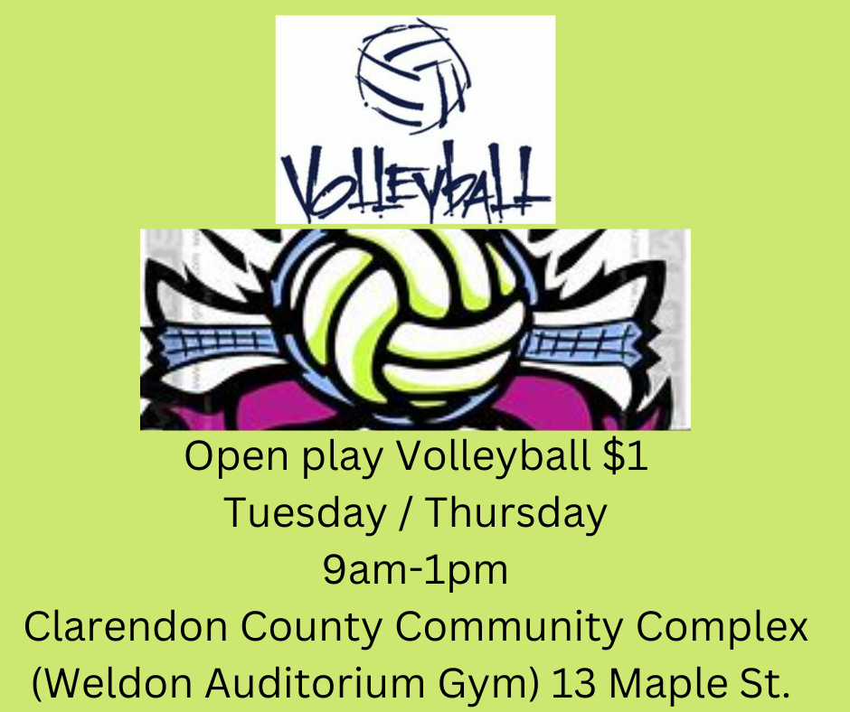 Volleyball Open Play